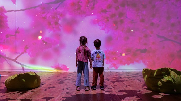 Visitors are mesmerised by the Immersive Blossom Experience at the Great North Museum, Newcastle Upon Tyne